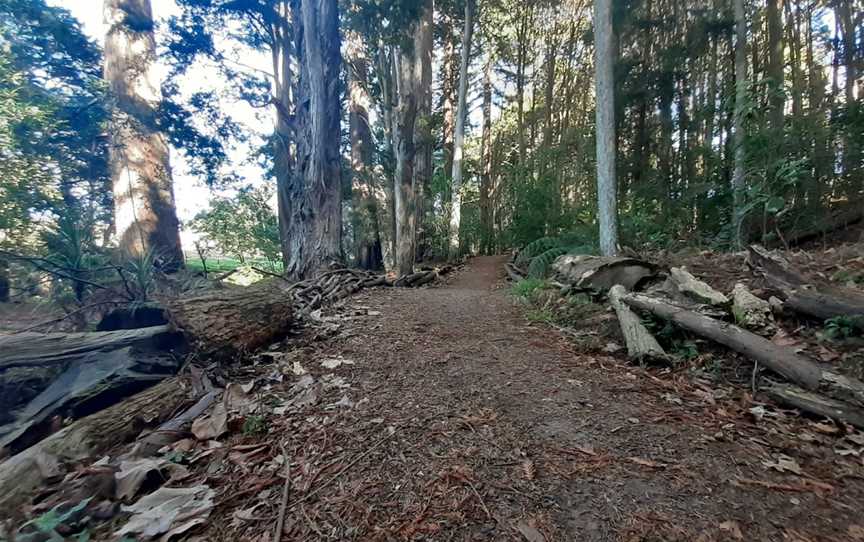 Morrinsville River Walk, Morrinsville, New Zealand