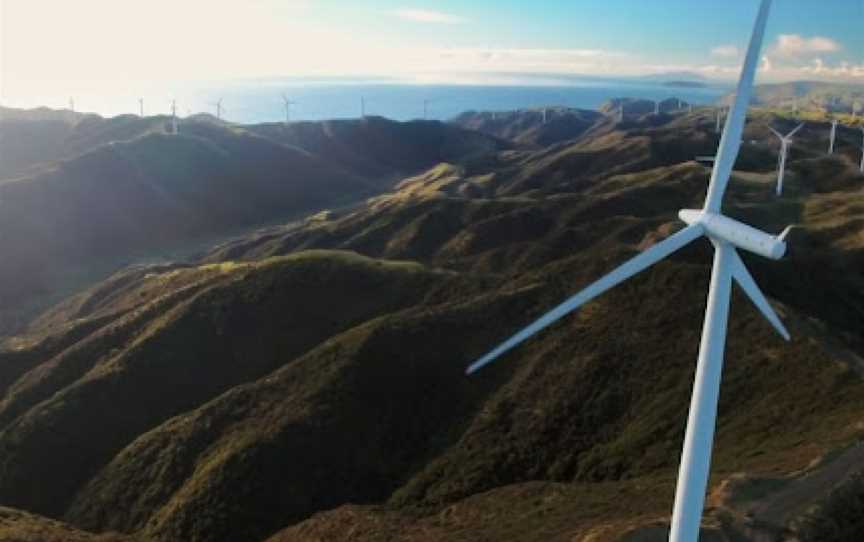 West Wind, Wellington, New Zealand