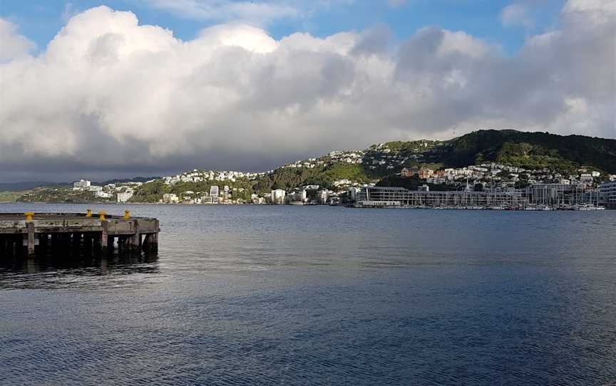 Solace in the Wind (The Naked Man) Statue, Te Aro, New Zealand