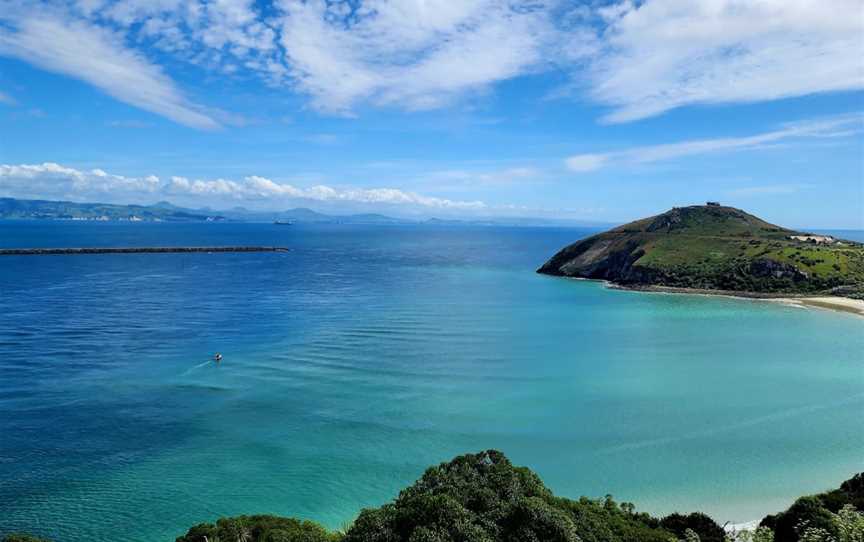 Harington Point Gun emplacements, Portobello, New Zealand