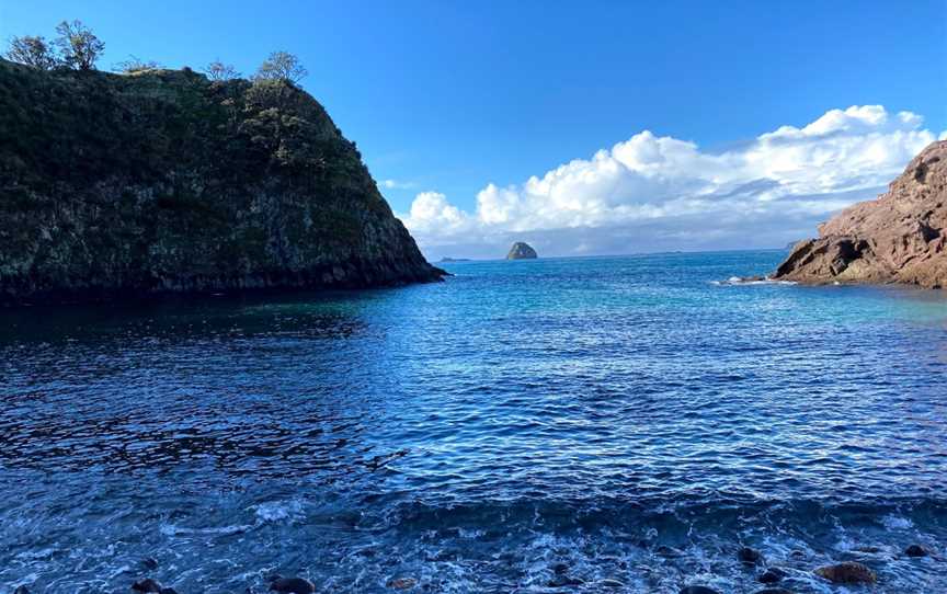 Crayfish Bay, Opito Bay, New Zealand