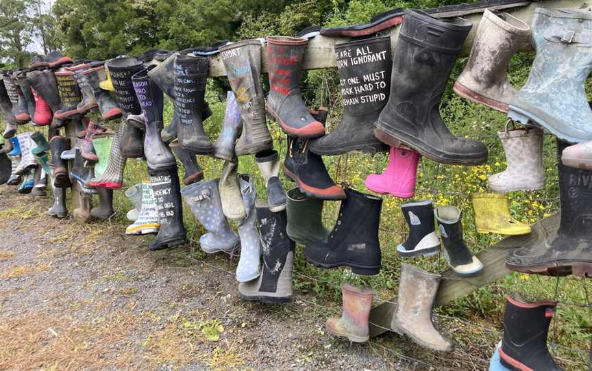 White Pine Bush Gumboot fence, White Pine Bush, New Zealand