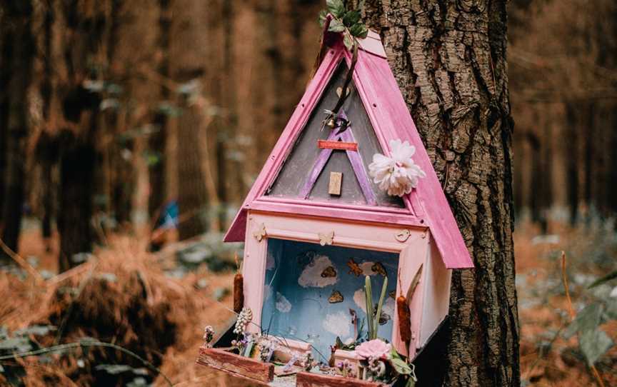 The Fairy Forest, Parklands, New Zealand