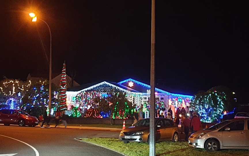 Cambridge Tce Christmas lights, Waterloo, New Zealand