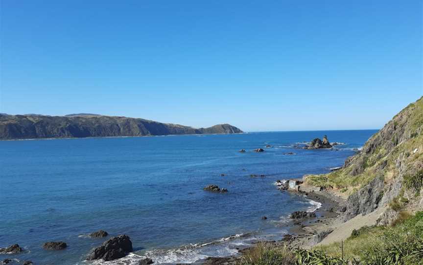 Fort Dorset, Seatoun, New Zealand