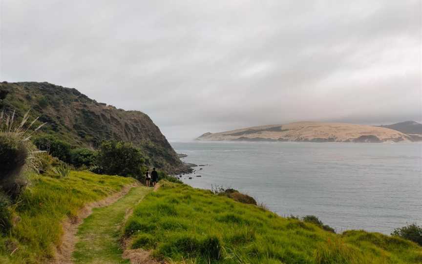 Martin's Beach, Omapere, New Zealand