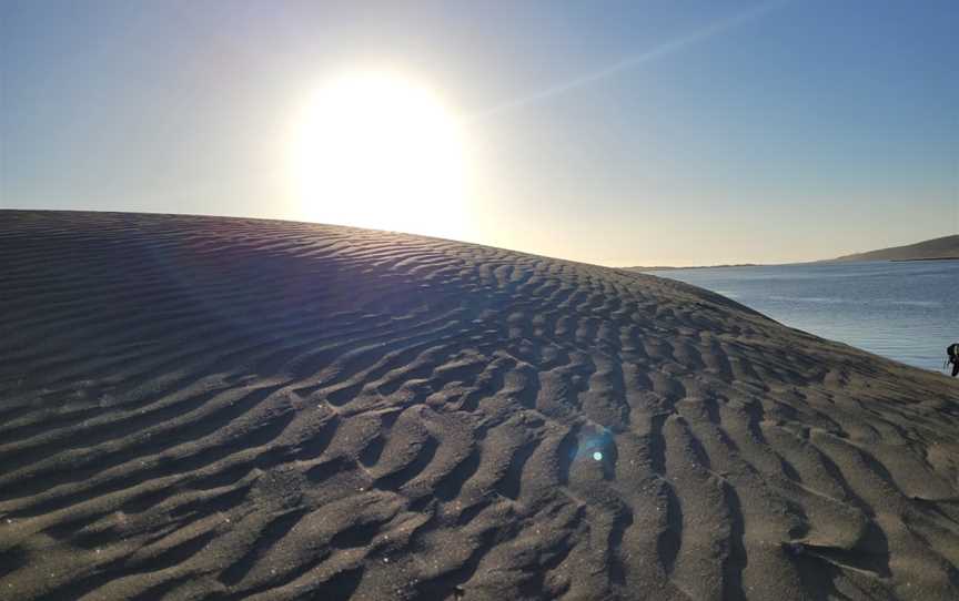 Port Waikato Sand Dunes, Port Waikato, New Zealand