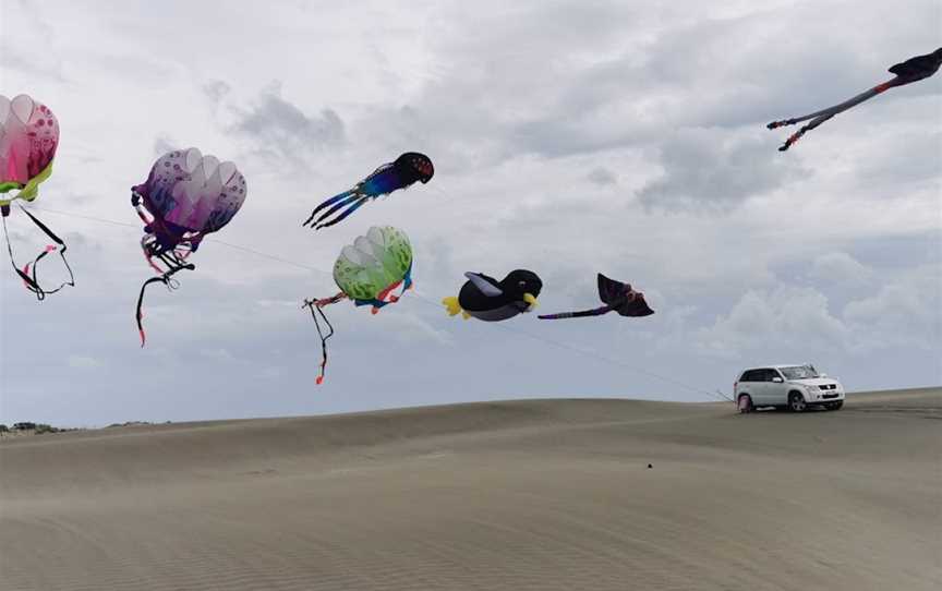 Port Waikato Sand Dunes, Port Waikato, New Zealand