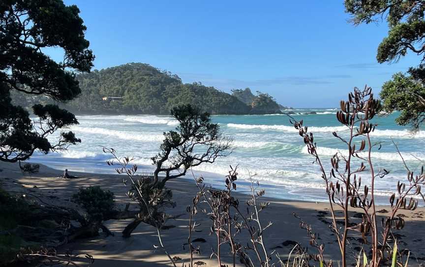 Moureeses Bay, Whangarei, New Zealand