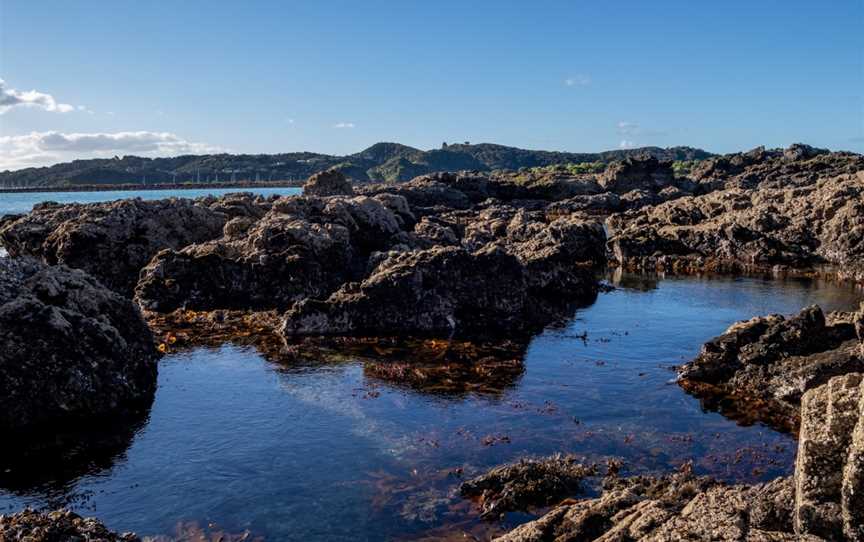 Wharau Road Beach, Kerikeri, New Zealand