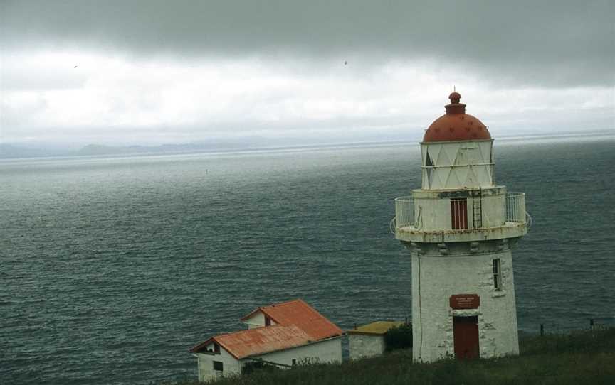 Taiaroa Head, Harington Point, New Zealand