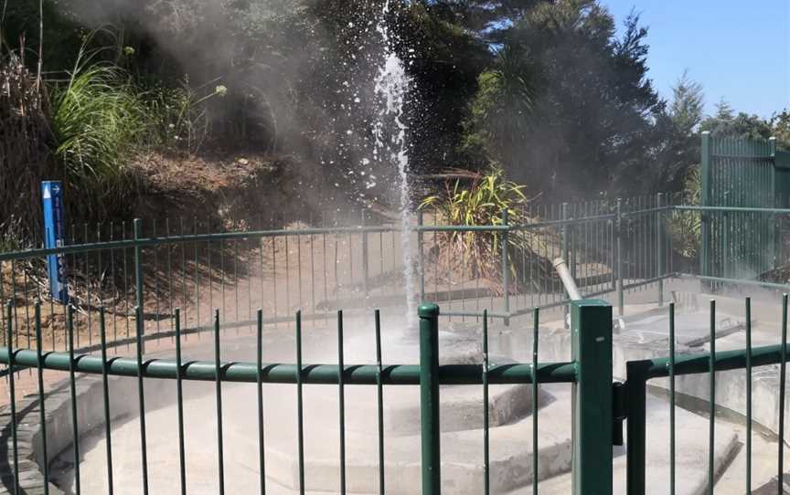 Mokena Geyser, Te Aroha, New Zealand