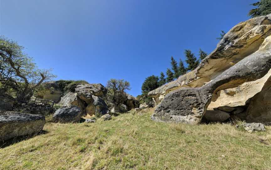 Anatini Fossil Place, Island Cliff, New Zealand