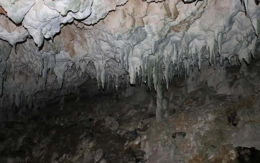 Fenian Caves Loop, Karamea, New Zealand