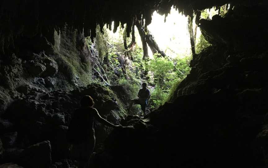 Fenian Caves Loop, Karamea, New Zealand