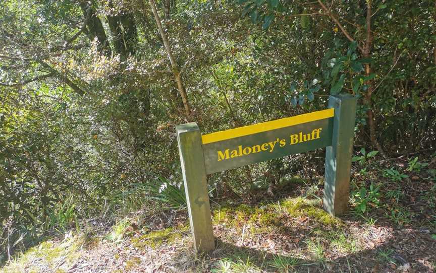 Fenian Caves Loop, Karamea, New Zealand