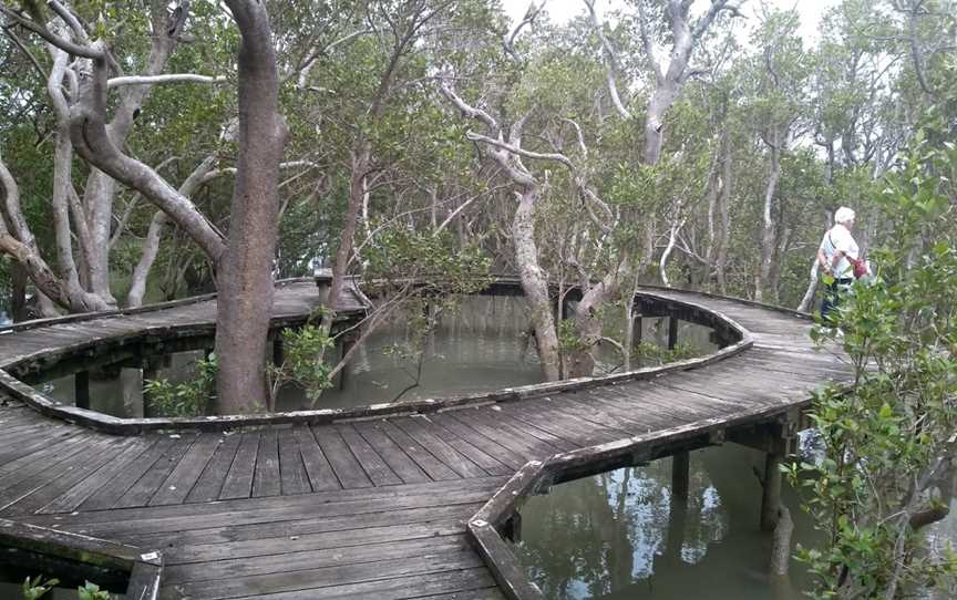 Rawene Mangrove Boardwalk, Rawene, New Zealand