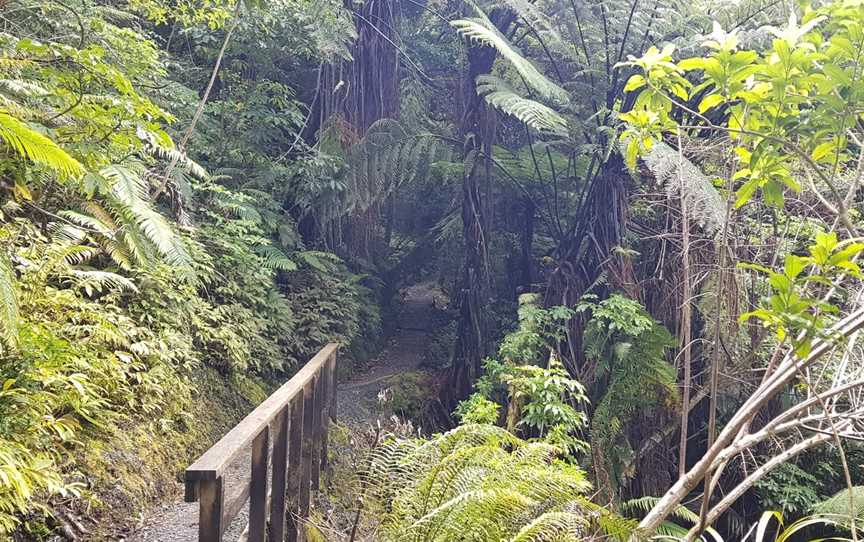 Waiotemarama Falls, Waimamaku, New Zealand