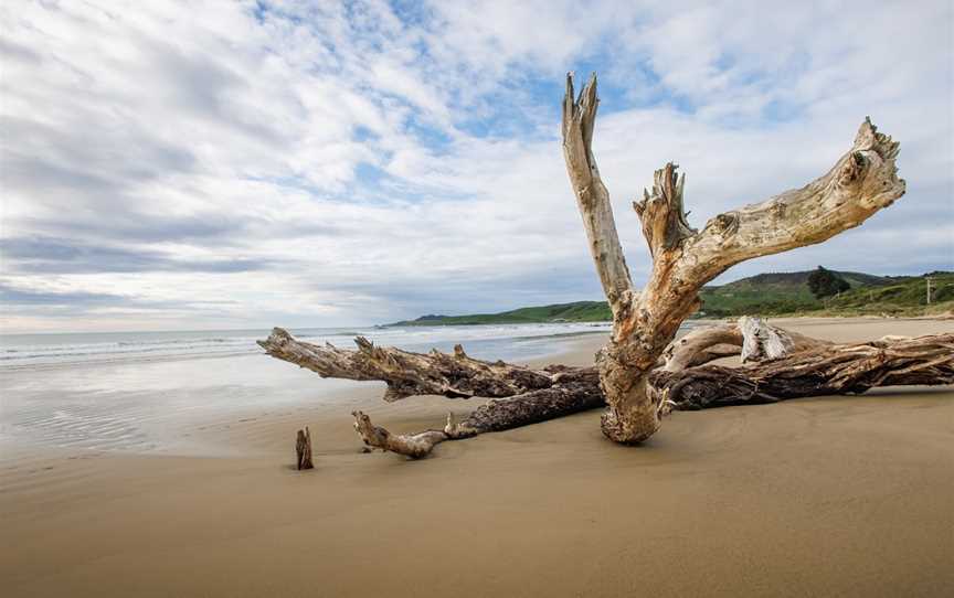 Kaka Point Beach, Kaka Point, New Zealand