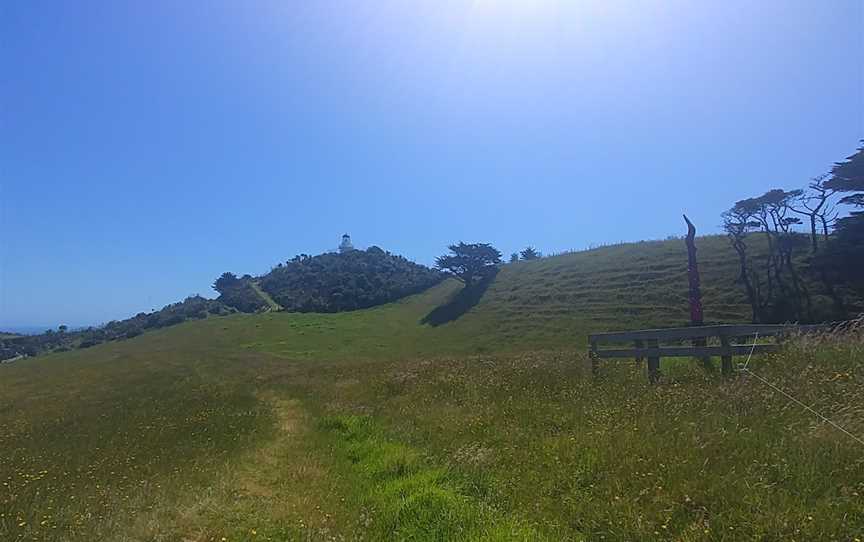 Manukau Heads Maori Carvings, Manukau Heads, New Zealand