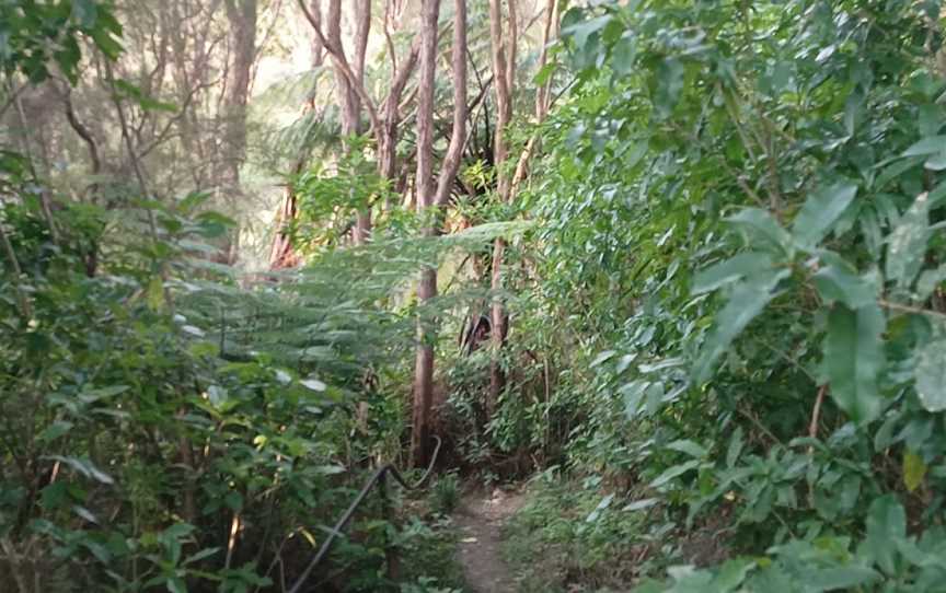 Tinui ANZAC Walkway, Tinui, New Zealand