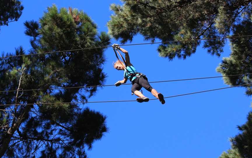 Adrenalin Forest Porirua, Bombay, New Zealand