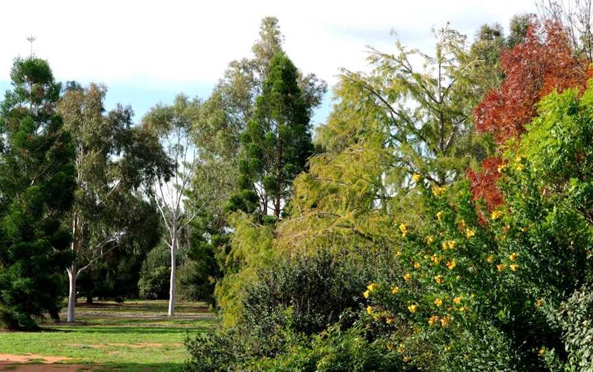 Australian Inland Botanic Gardens, Buronga, NSW