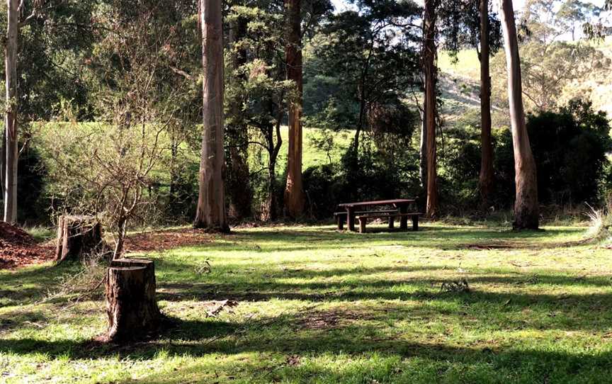 Agnes Falls Scenic Reserve, Hazel Park, VIC