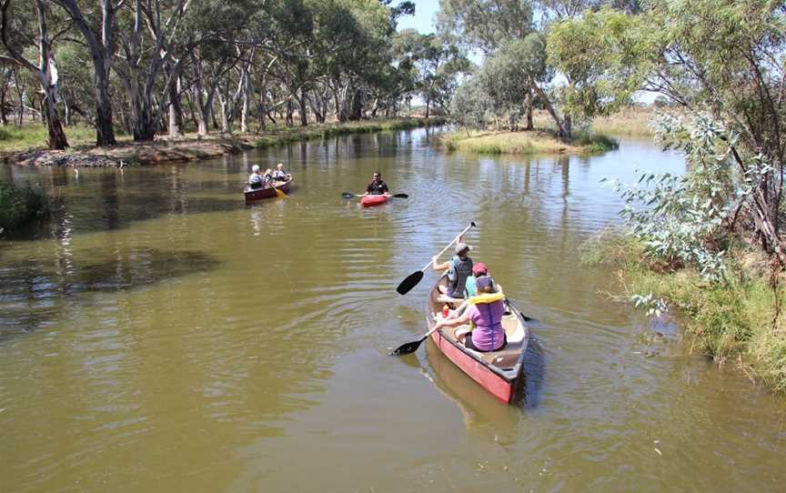 Wetlands of Wyalong, Wyalong, NSW