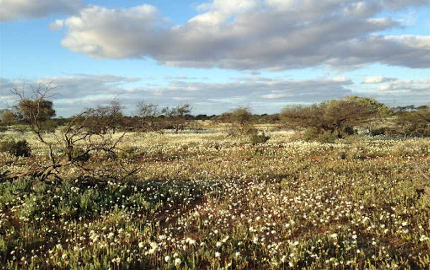 Living in the Rangelands Trail, Hawker, SA