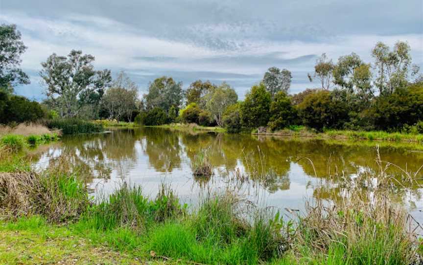 Mansfield Mullum Wetlands, Mansfield, VIC