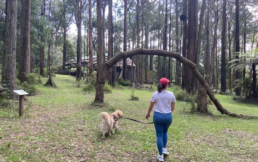 Toolangi Sculpture Trail, Toolangi, VIC