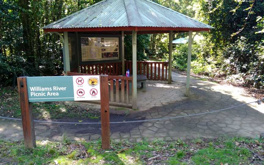 Barrington Tops National Park Walks, Dungog, NSW