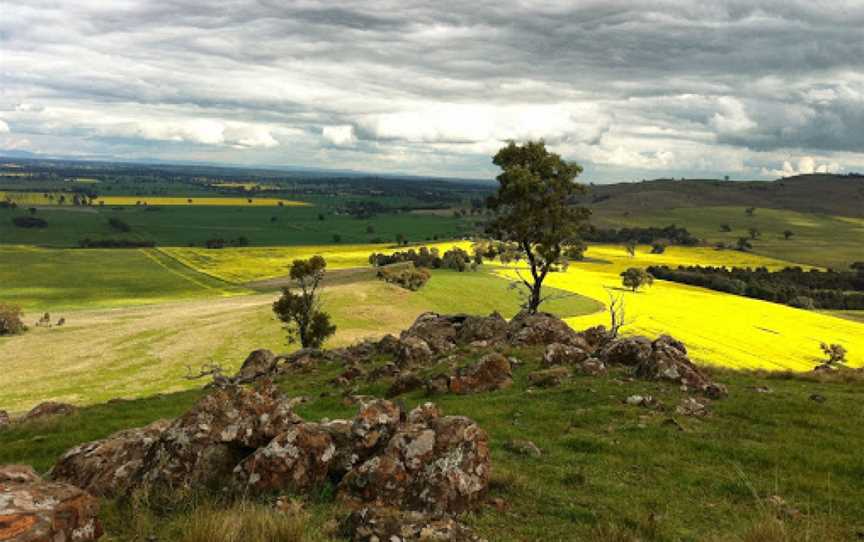 Rock Correa Interpretive Walking Track at Tallis Wine, Dookie, VIC