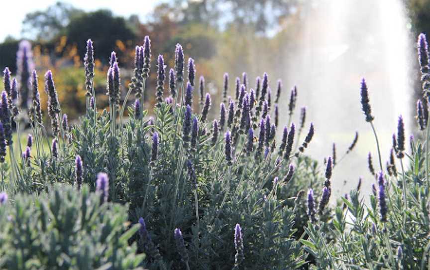 The Bath House Garden, Oakhampton Heights, NSW