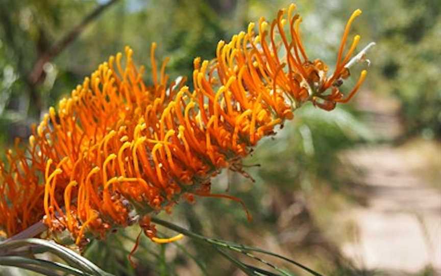 Umbrawarra Gorge Nature Park, Pine Creek, NT