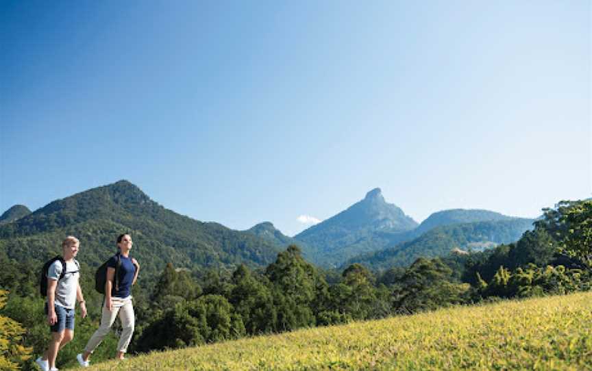 Northern Rivers Rail Trail, South Murwillumbah, NSW