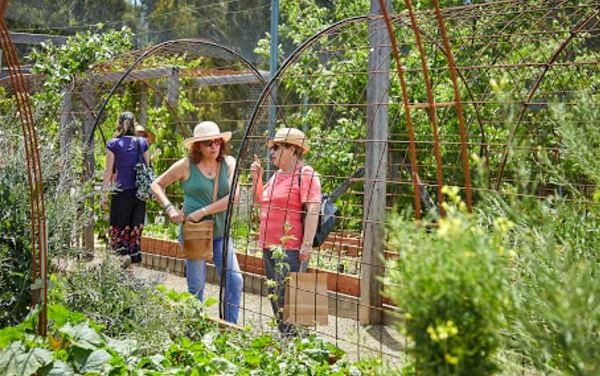 Edible Forest Yarra Valley, Dixons Creek, VIC