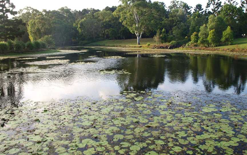 Gold Coast Regional Botanic Gardens, Benowa, QLD