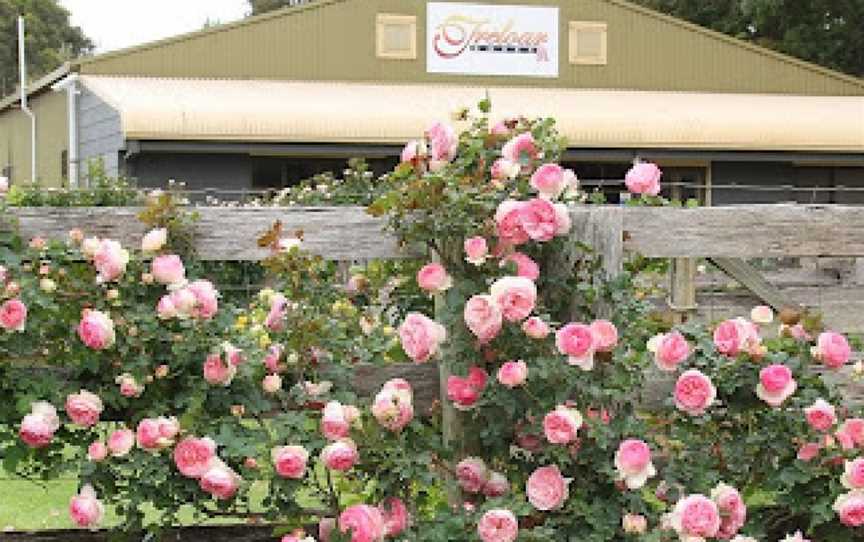 Treloar Roses Display Garden, Bolwarra, VIC