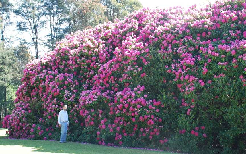 Lalla Flower Farm, Lalla, TAS