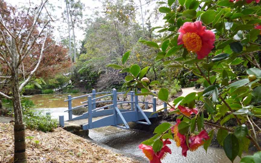 Tamborine Mountain Regional Botanic Gardens, Tamborine Mountain, QLD