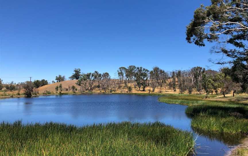 Lobethal Bushland Park, Lobethal, SA