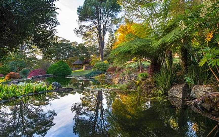 Windyridge Garden Mount Wilson, Mount Wilson, NSW