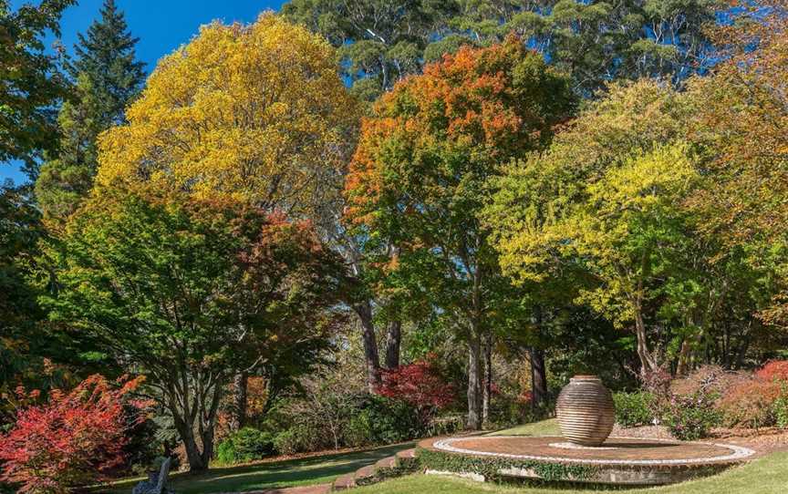 Windyridge Garden Mount Wilson, Mount Wilson, NSW