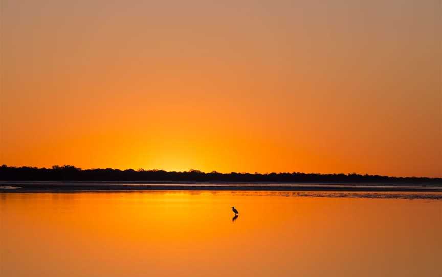 Birdwatching on the Fraser Coast, Hervey Bay, QLD