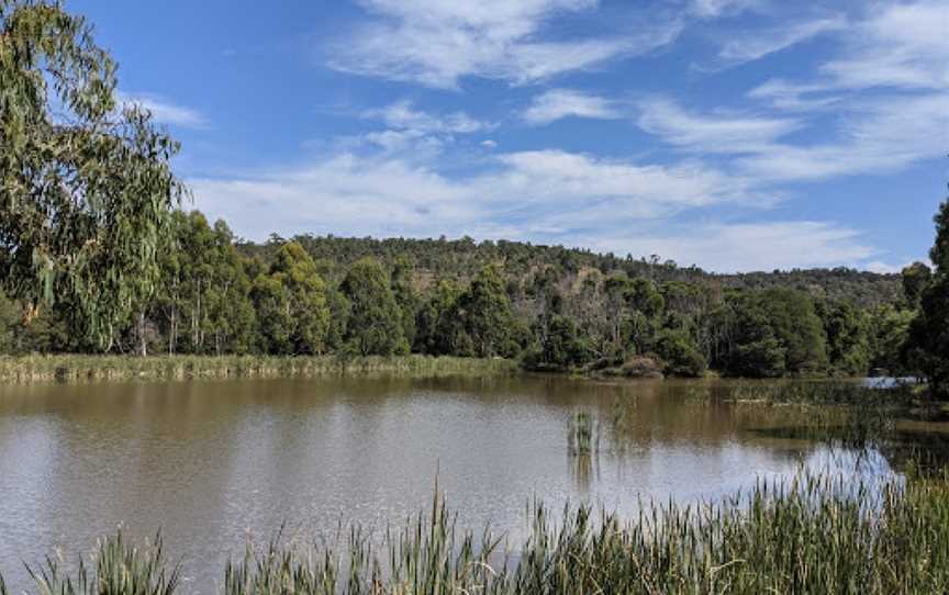 Birdsland Reserve, Belgrave Heights, VIC