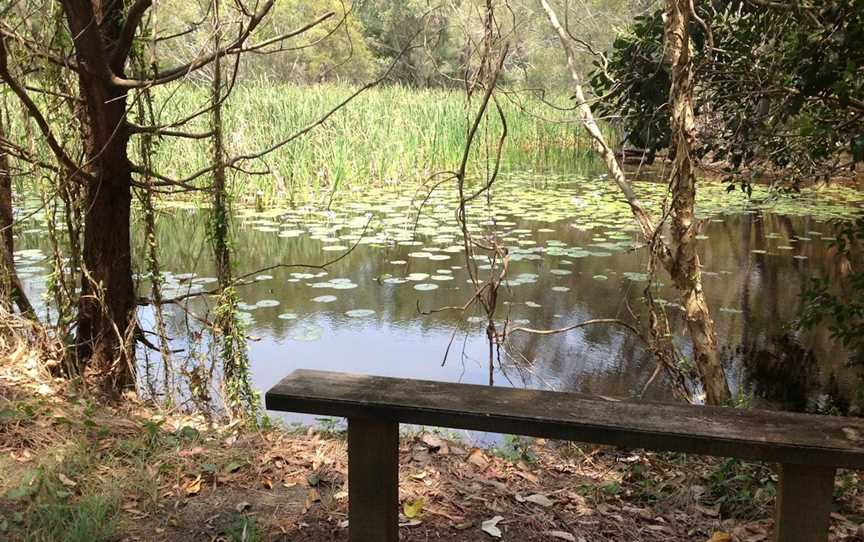 Arkarra Lagoons and Tea Gardens, Hervey Bay, QLD