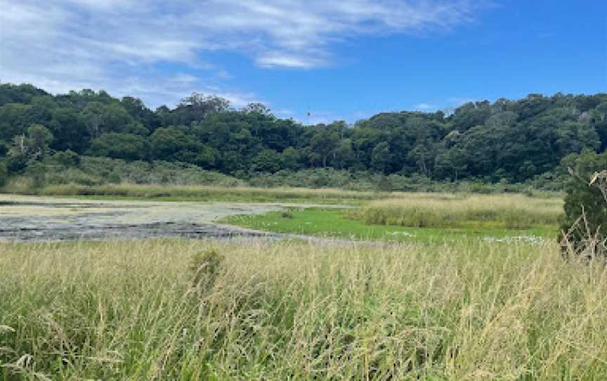 Jerrara Wetlands, Jerrara, NSW