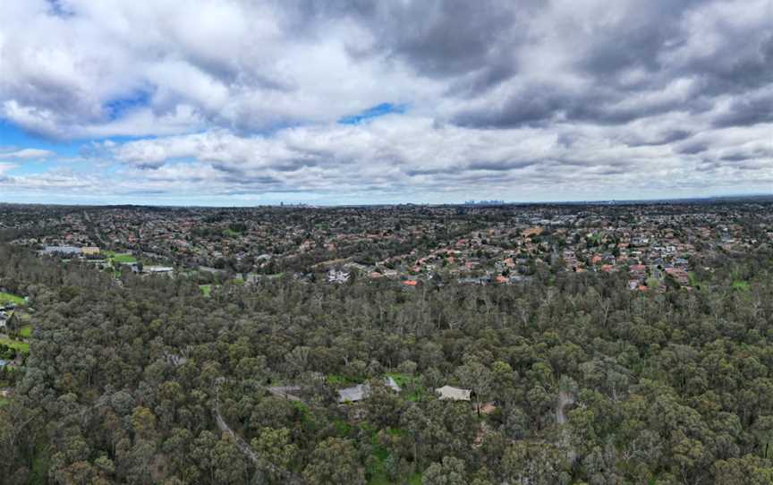 Currawong Bush Park, Doncaster East, VIC